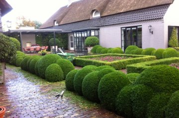 Photo IMG_0216.jpg