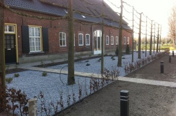 Photo Dennis_van_Osch_21.jpg