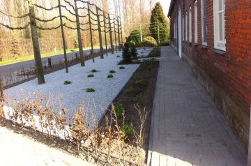 Photo Dennis_van_Osch_6.jpg